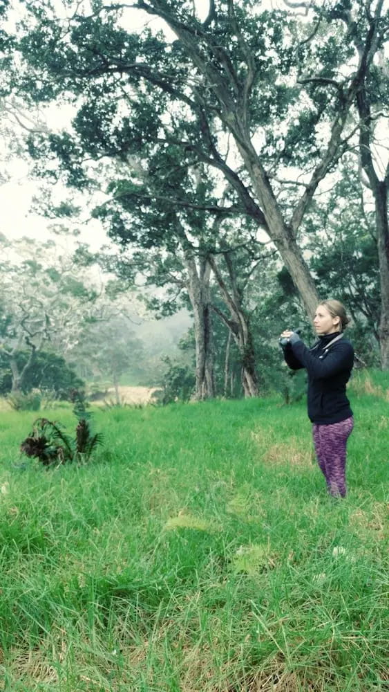 Searching for ʻiʻiwi by Julie Neuman