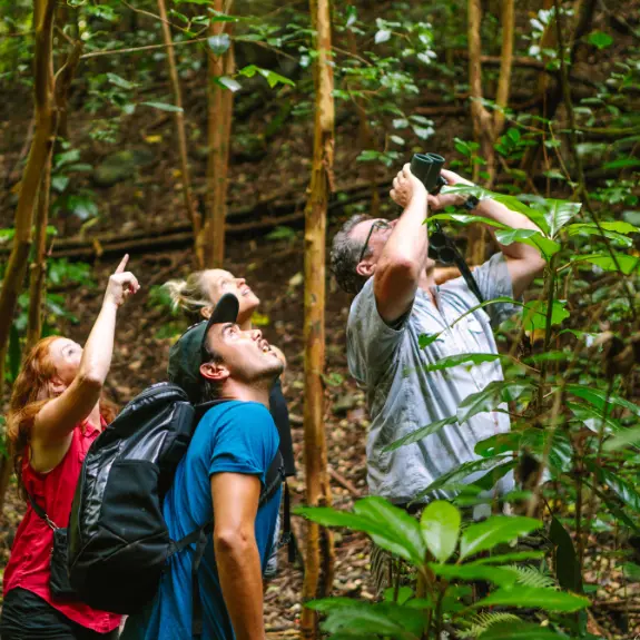 Hakalau Forest Birdwatching Adventure