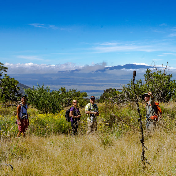 Birding Category Page