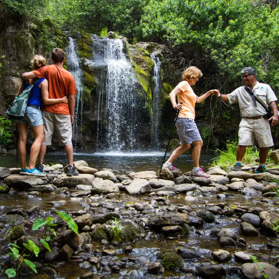 Waterfall Category Page