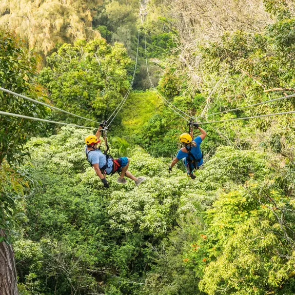 Zipline Category Page