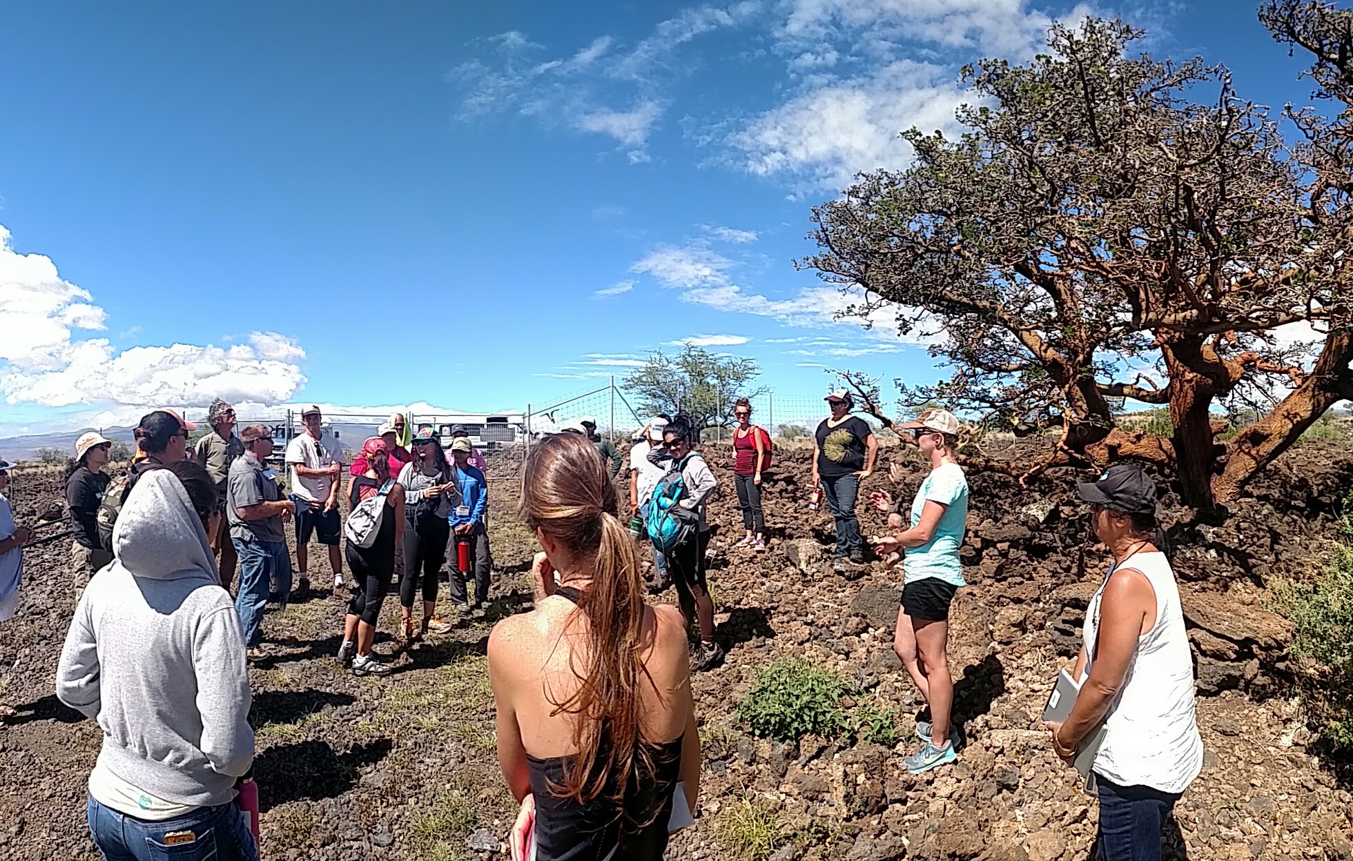 IMG_20150804_145656274