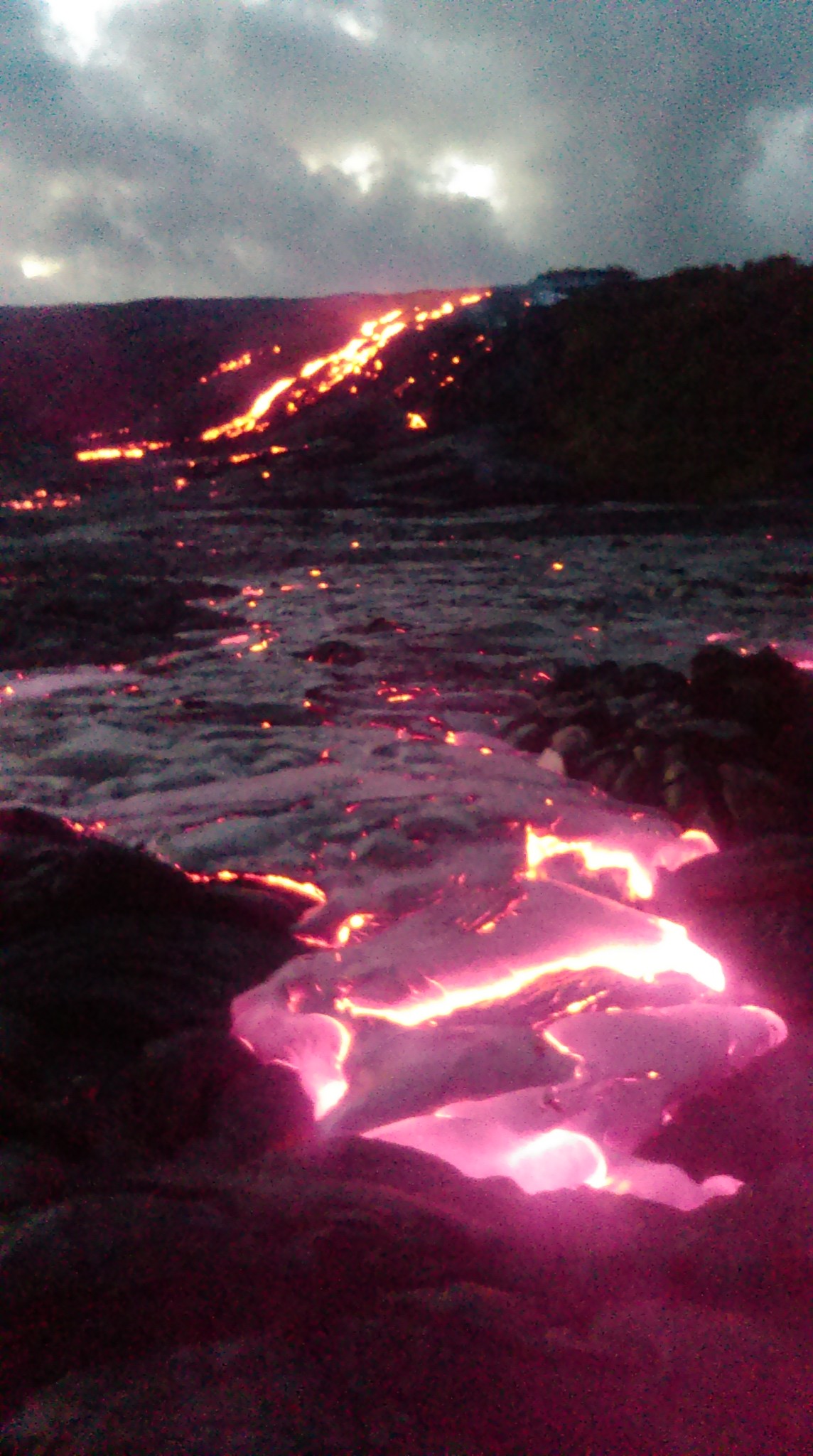 Moths, Spiders, and Lava