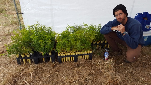 Volunteering on Mauna Kea