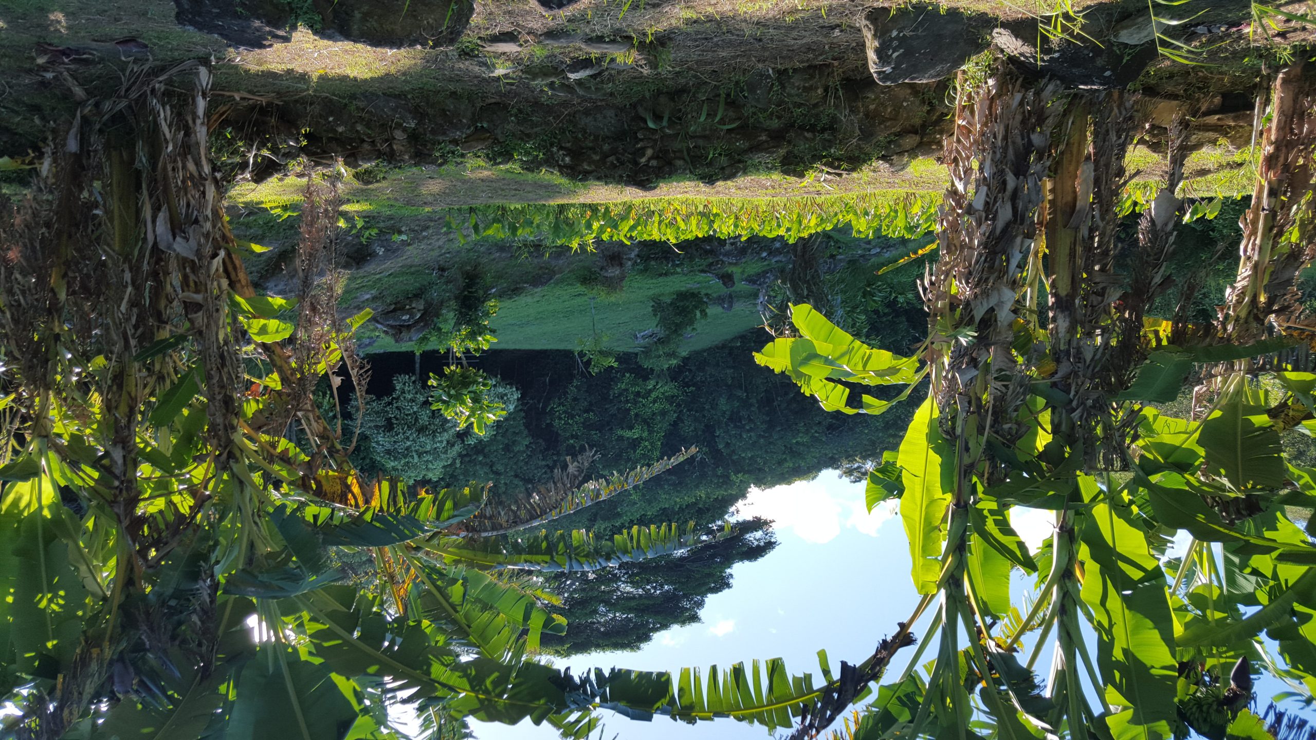 Packing for Hawaii: Now & Then- By April Nelson